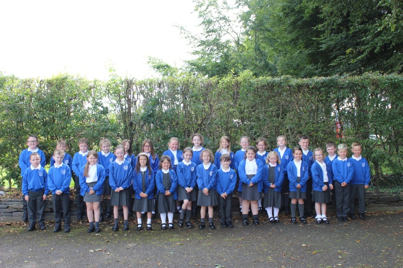 Primary 4